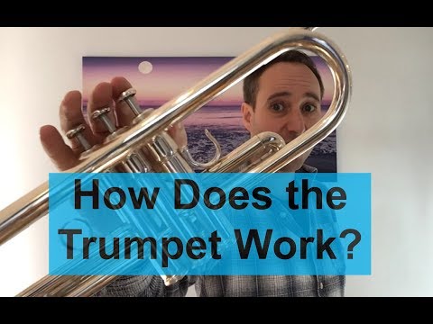 How Does the Trumpet Work?