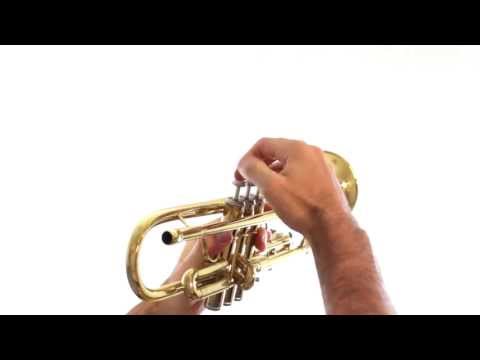 Trumpet Lesson 1: Holding the Trumpet