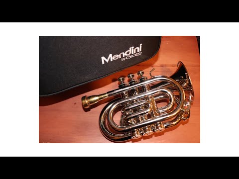 Mendini $100 Pocket Trumpet?!? Part 1