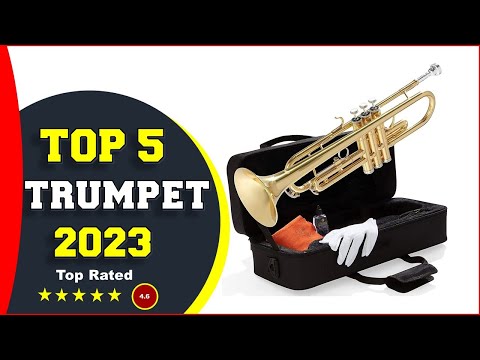 ✅ Best Trumpets for Beginners 2023