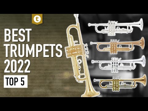 Top 5 Trumpets of 2022 | Yamaha, Bach, Jupiter &amp; More | Trumpet Comparison | Thomann